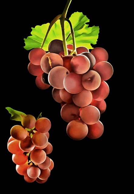 annotation, transparent background, grape